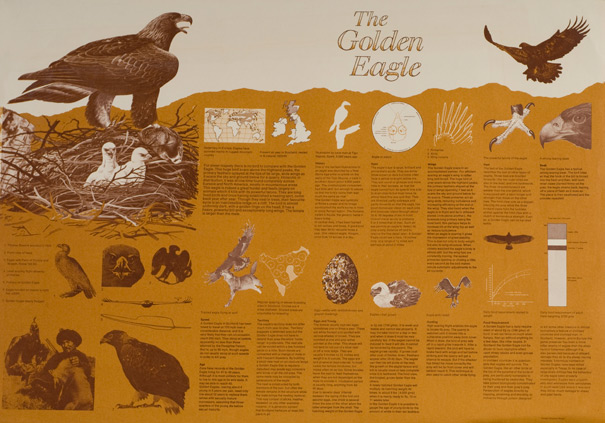 GoldenEagle GoldenEagle