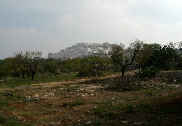 Ostuni3773 Ostuni3773