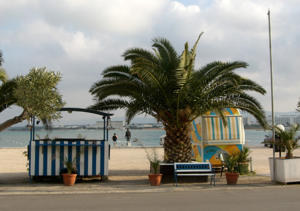 RosaMarina3628 RosaMarina3628