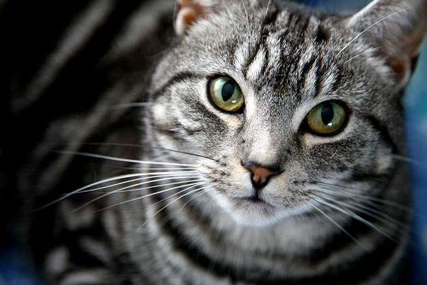 Maisie8349 Maisie8349