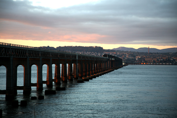 TayBrig8443 TayBrig8443