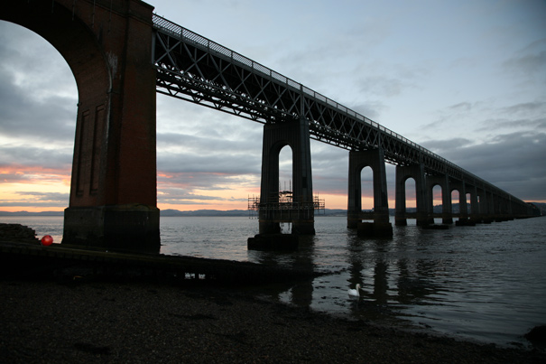 TayBrig8480 TayBrig8480