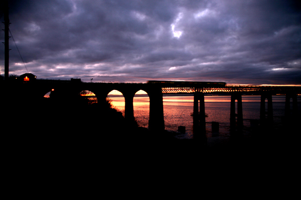 TayBrig8604 TayBrig8604